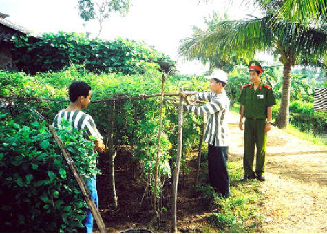 Nên bổ sung chế định tha tù trước hạn?